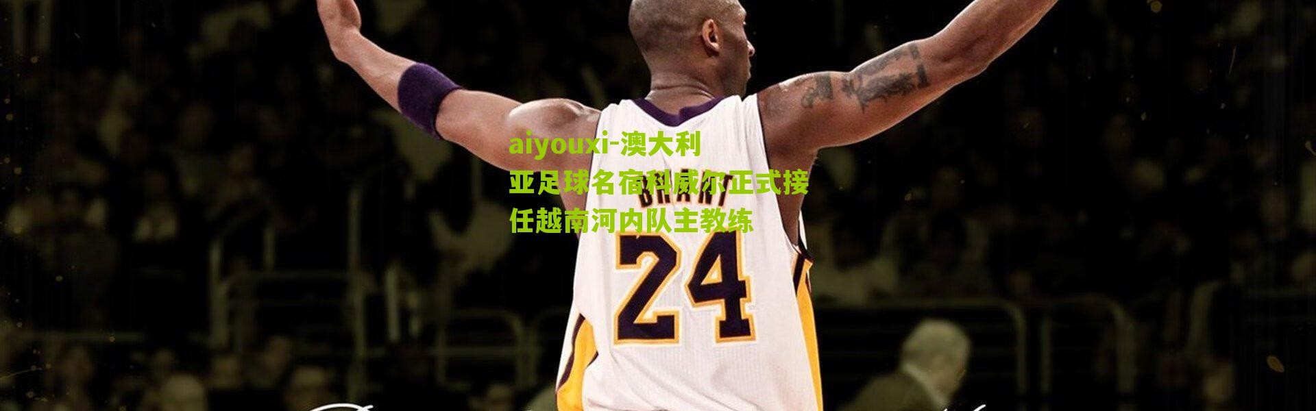 aiyouxi-澳大利亚足球名宿科威尔正式接任越南河内队主教练