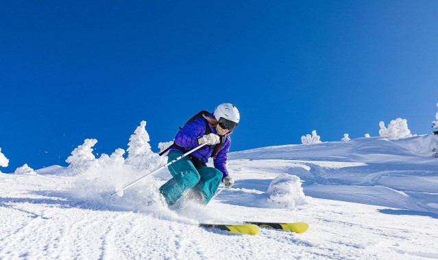 爱游戏中国-勒沃库森遭遇三重伤病打击！安德里希、希克与格里马尔多对阵圣保利伤退，赛季征程蒙上阴影