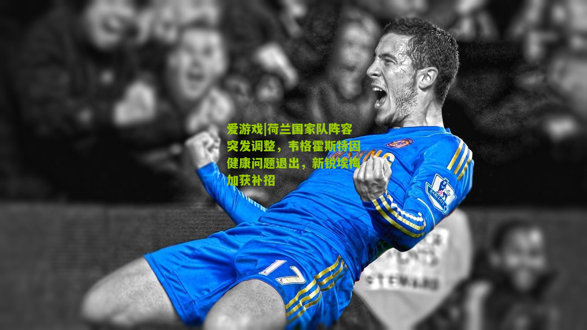 荷兰国家队阵容突发调整，韦格霍斯特因健康问题退出，新锐埃梅加获补招